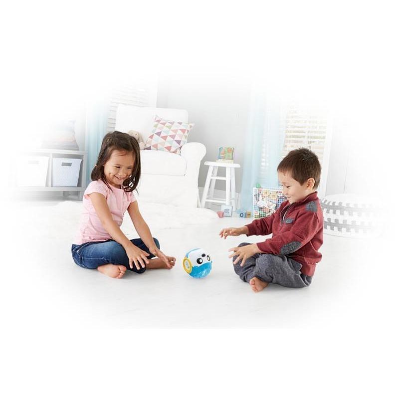 Fisher-Price - Divirta-se e Aprenda com a Bola Porco Espinho Brinquedo Anne Claire Baby Store 