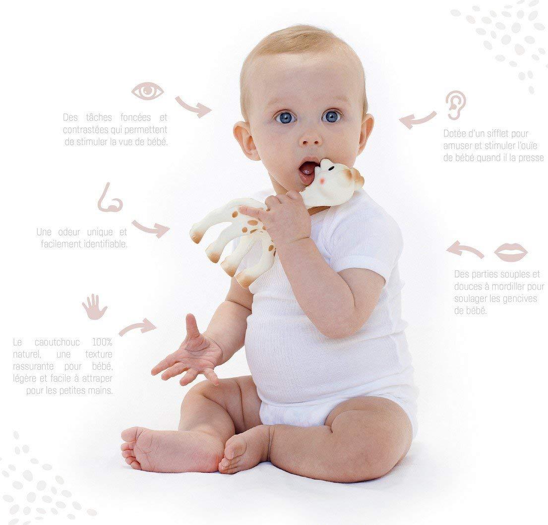 Girafa Sophie - Conjunto para Bebê Recém-Nascido Anne Claire Baby Store 