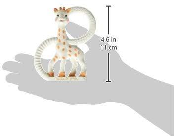 Girafa Sophie Macia Para Seu Bebê Brinquedo Anne Claire Baby Store 